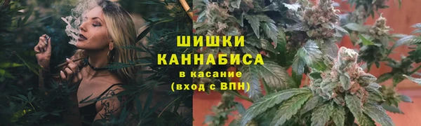 индика Козловка