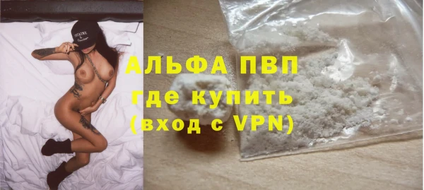 гашик Кодинск