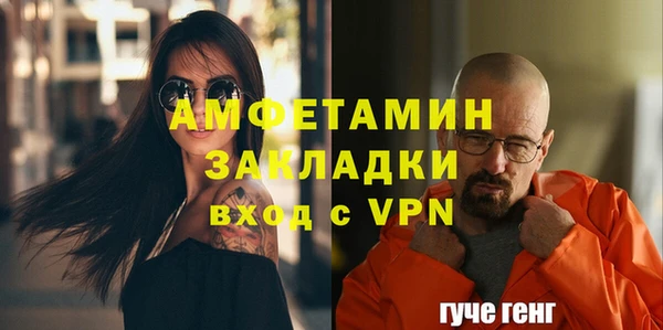 индика Козловка