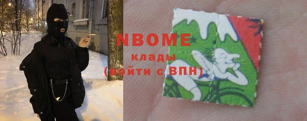 индика Козловка