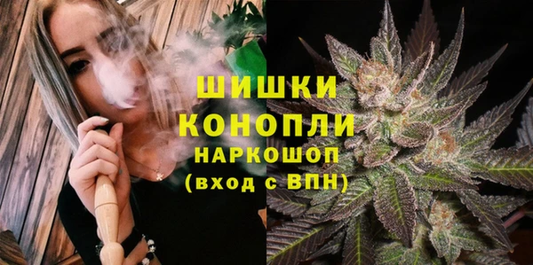 гашик Кодинск