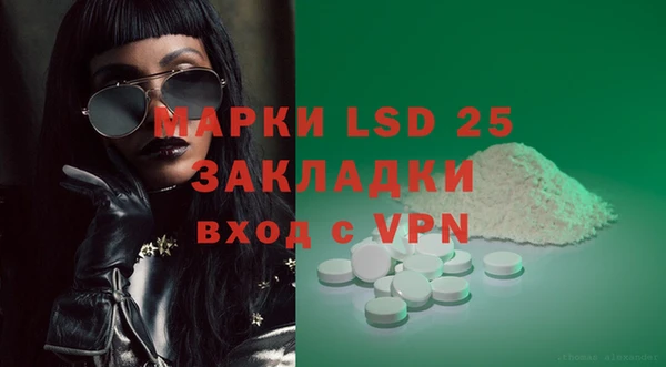 индика Козловка