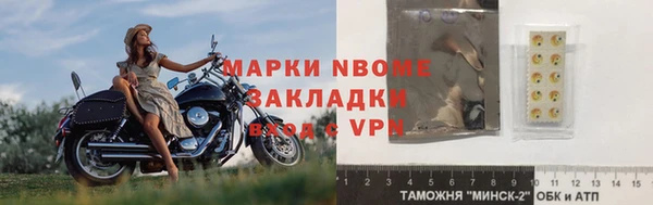 индика Козловка