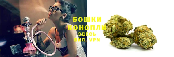 индика Козловка