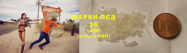 индика Козловка