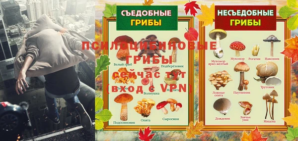 индика Козловка