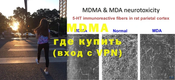 индика Козловка