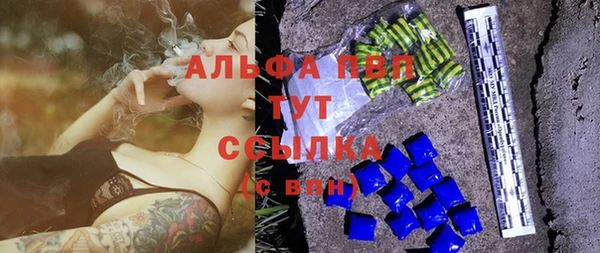 индика Козловка