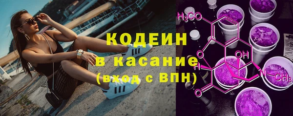 индика Козловка