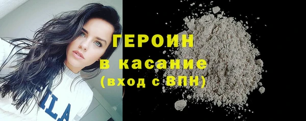 индика Козловка