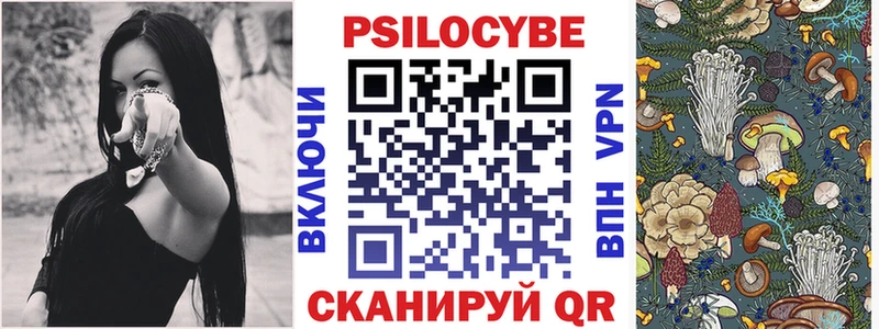 Купить  Приморско-Ахтарск  Псилоцибиновые грибы GOLDEN TEACHER 